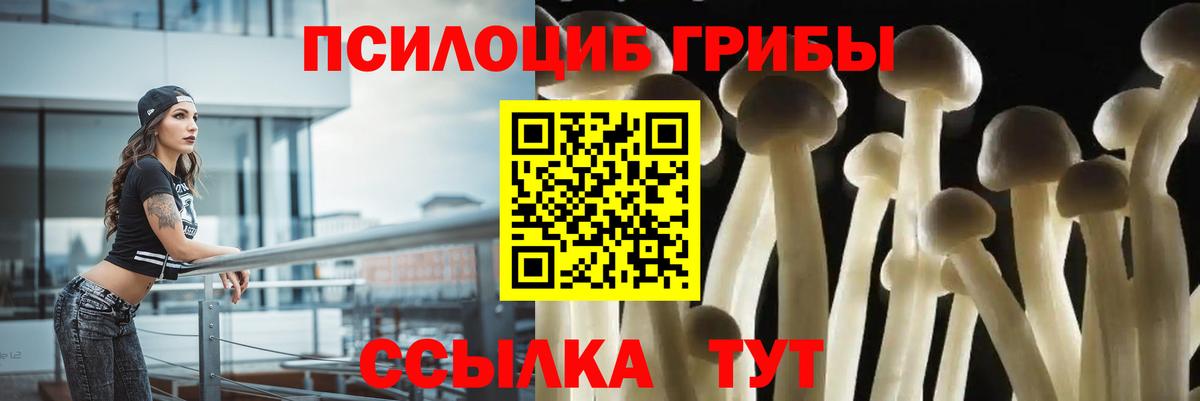 Галлюциногенные грибы Psilocybe  Вход с VPN  Фурманов 